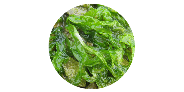 1 + 1 Baby Home Doctor Daily Lotion 300ml Infant N