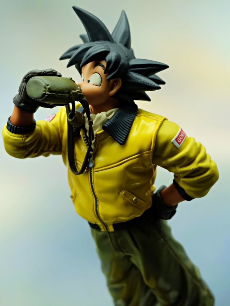 Dragon ball Z Sonoko figure formative world first 