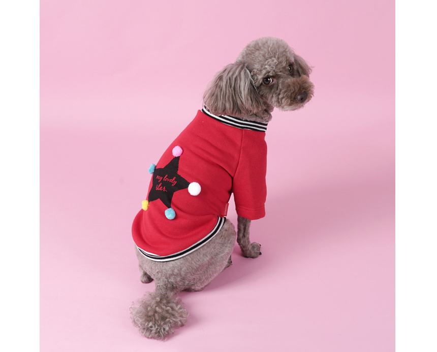NEW DOG FASHION Unusual dog clothes Pet dog clothi