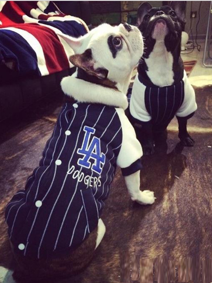 NEW DOG FASHION Baseball jumper dog clothes dog cl