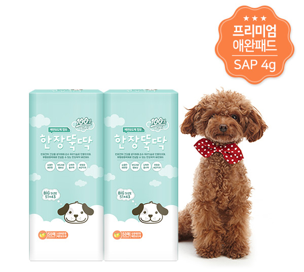 Premium Domestic Puppy Puppy Pad 38g 100 sheets 51