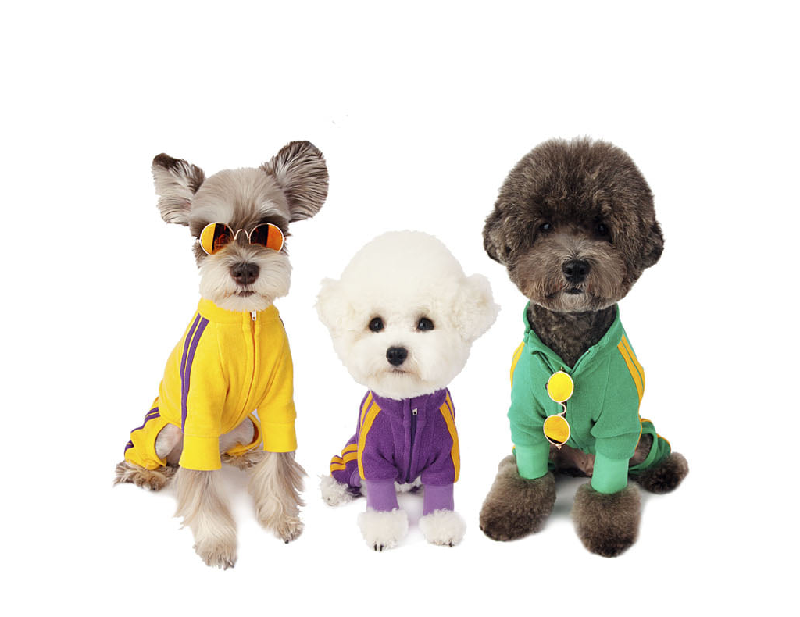 NEW DOG FASHION 리틀콜린 Let’s Get It All In