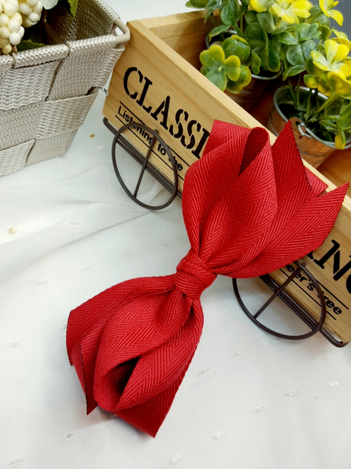 NEW HAIR CLIP HOOP Set of 3 Ribbon Pin Set New Wan