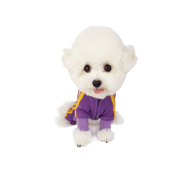 NEW DOG FASHION 리틀콜린 Let’s Get It All In