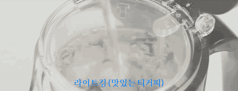 Light King Heat-resistant glass teapot Sama Toyo t