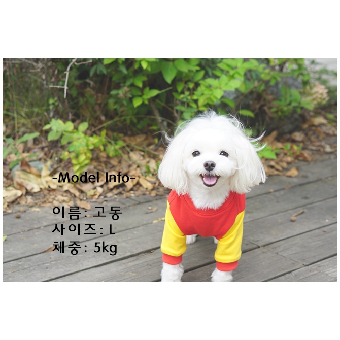 NEW DOG FASHION Lettering Puppy One-to-One 6color 