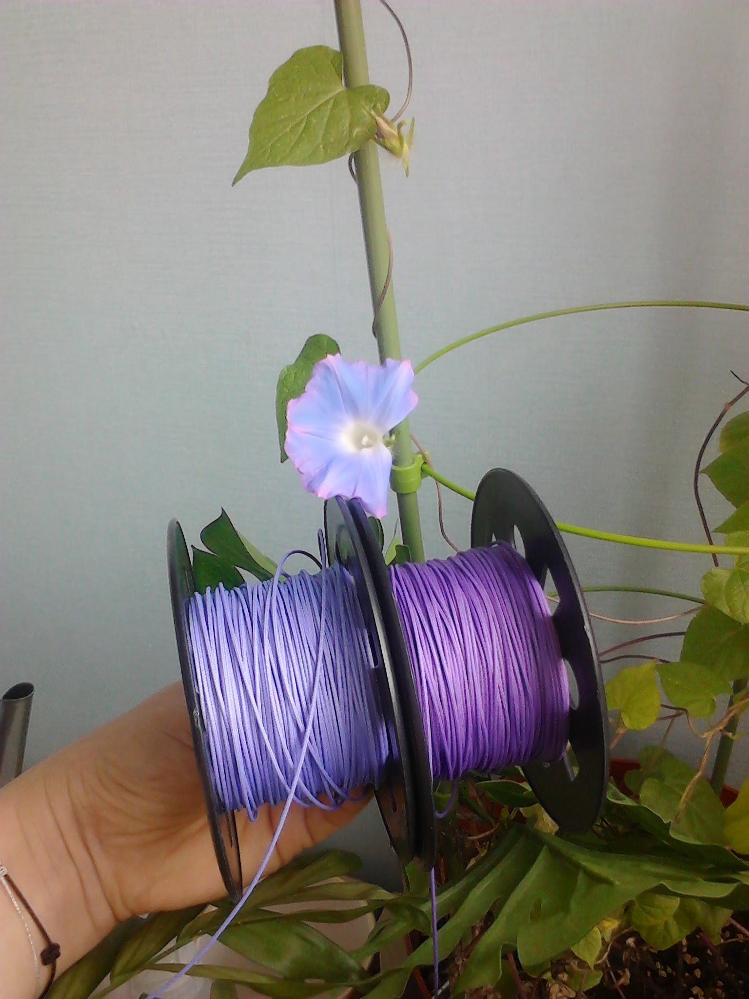 New base lanyard Clover knot lucky bracelet bracel