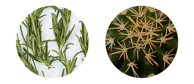 1 + 1 Baby Home Doctor Daily Lotion 300ml Infant N