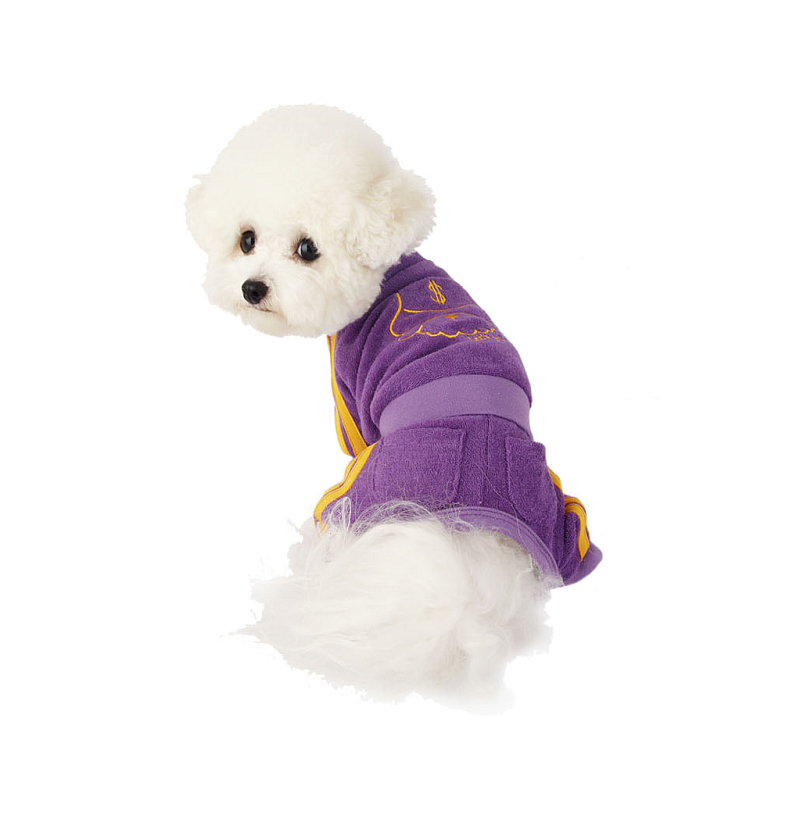 NEW DOG FASHION 리틀콜린 Let’s Get It All In