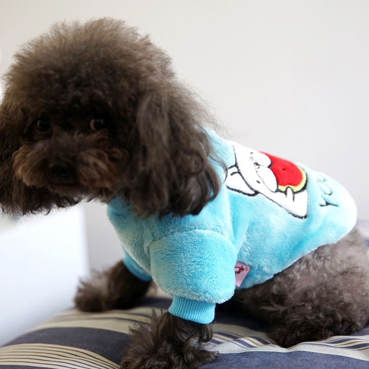 NEW DOG FASHION Puppy Knit Sweater T-shirt Dog Cut