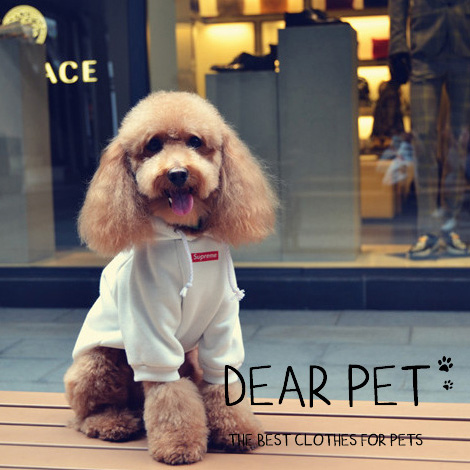 NEW DOG FASHION Supreme logo box hoodie dog puppy 