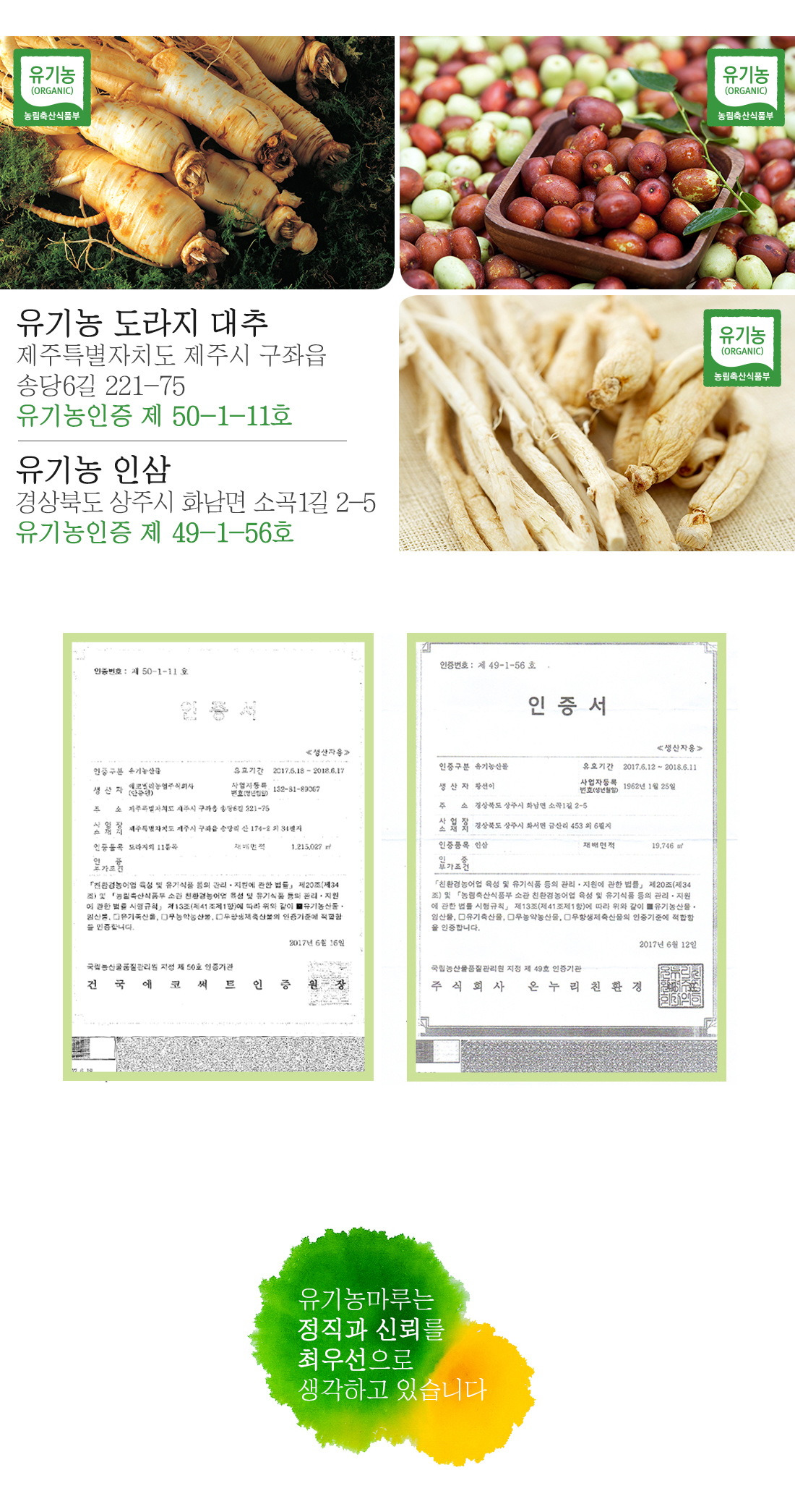 Korea Ginseng Organic Squeeze Red Sea Ginseng Stic