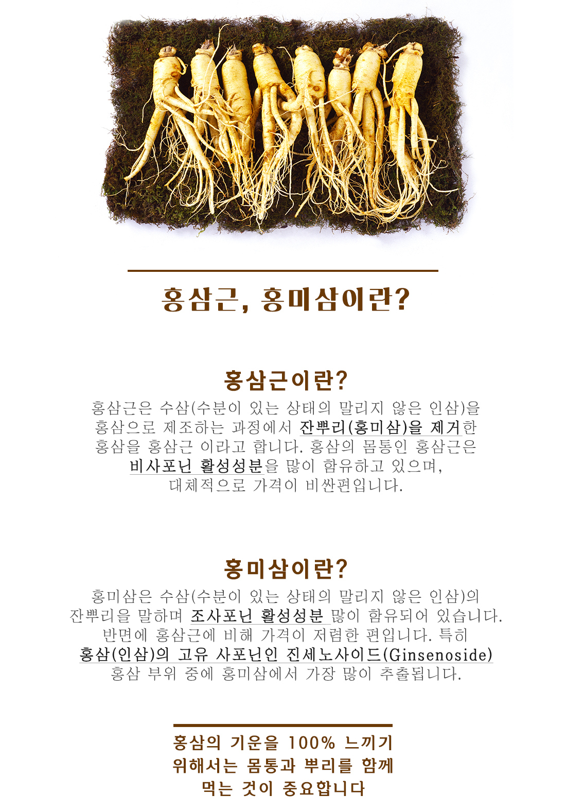 Korea Ginseng Organic Squeeze Red Sea Ginseng Stic