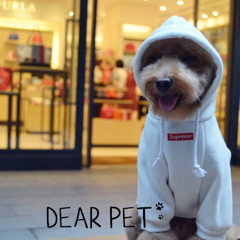 NEW DOG FASHION Supreme logo box hoodie dog puppy 