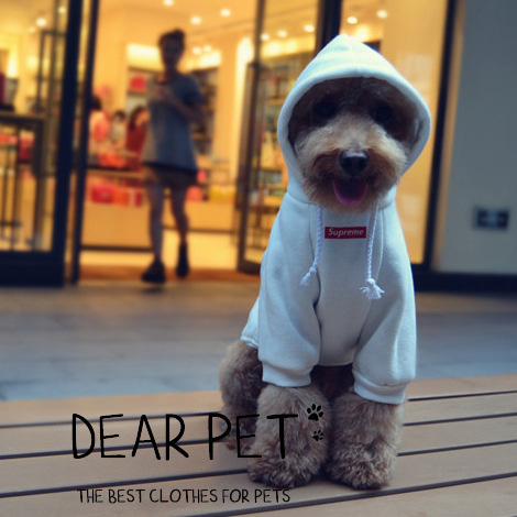 NEW DOG FASHION Supreme logo box hoodie dog puppy 