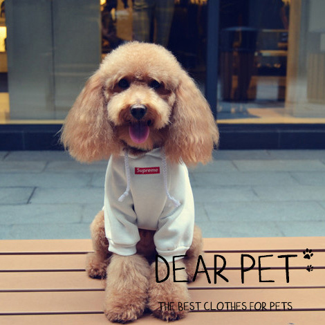 NEW DOG FASHION Supreme logo box hoodie dog puppy 