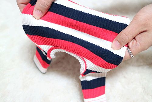 NEW DOG FASHION Goli Pole Puppy All-in-One Stretch