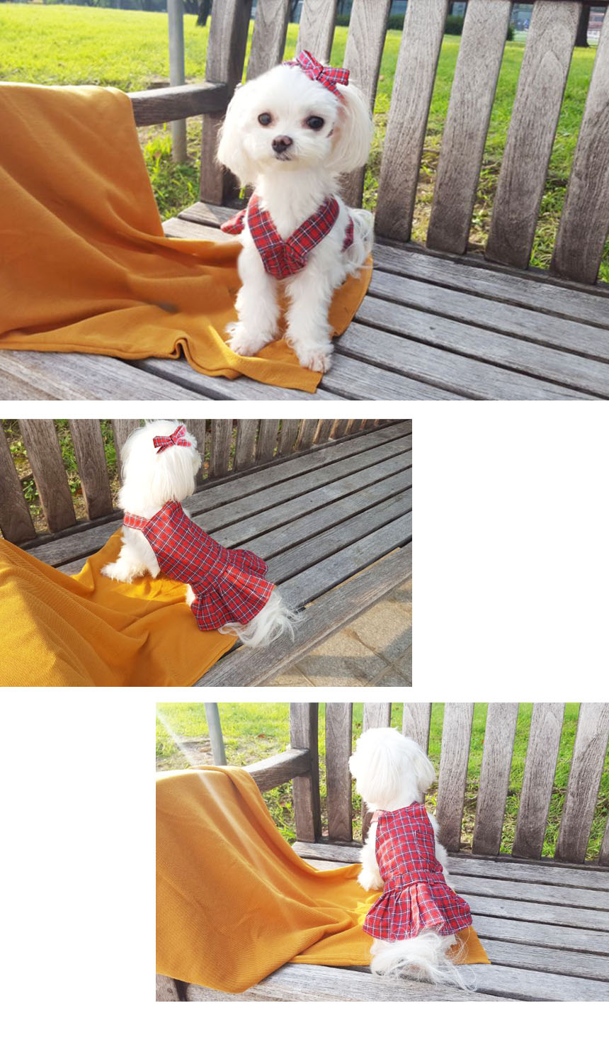 NEW DOG FASHION Thiorio Red Check Top &amp One Pie