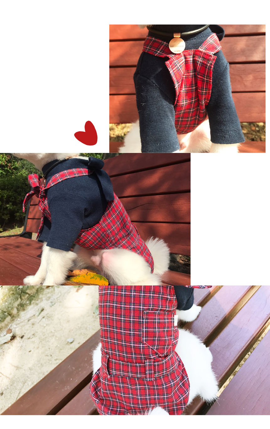NEW DOG FASHION Thiorio Red Check Top &amp One Pie