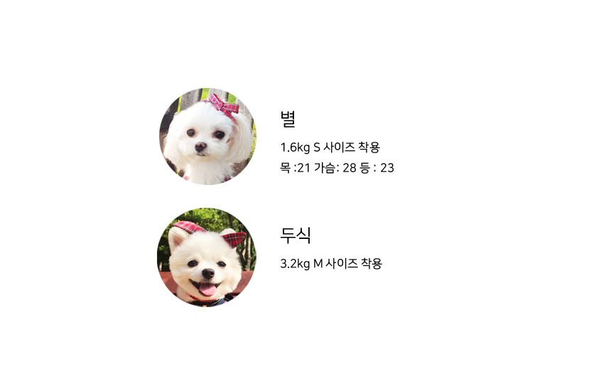 NEW DOG FASHION Thiorio Red Check Top &amp One Pie