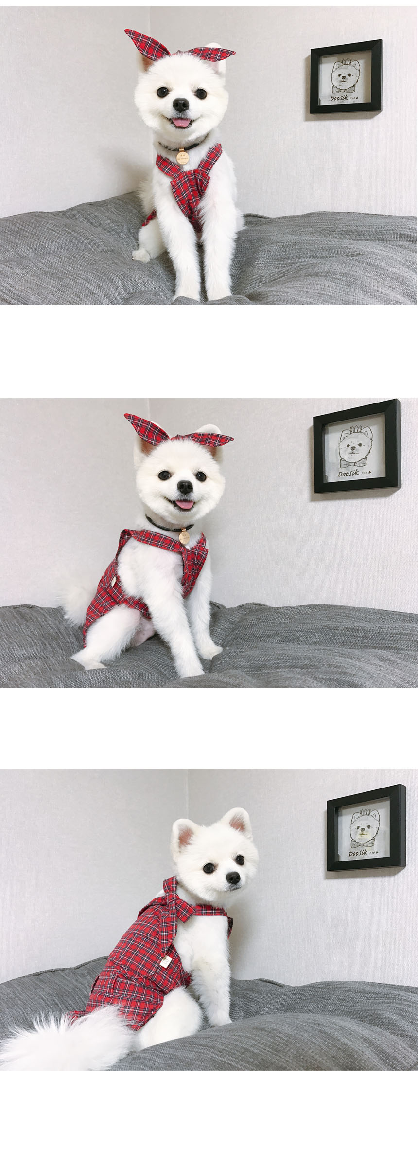 NEW DOG FASHION Thiorio Red Check Top &amp One Pie