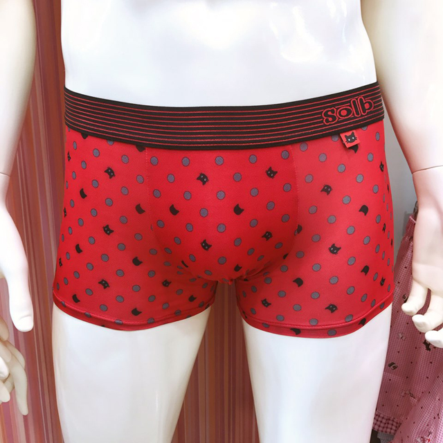 NEW MEN BOXER UNDERWEAR Solbyeong Man Drake,