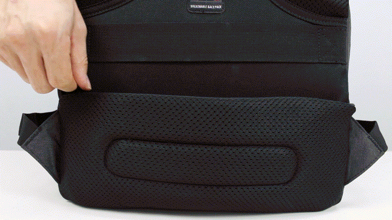 NEW BACKPACK Tiger's Backpack College Student W