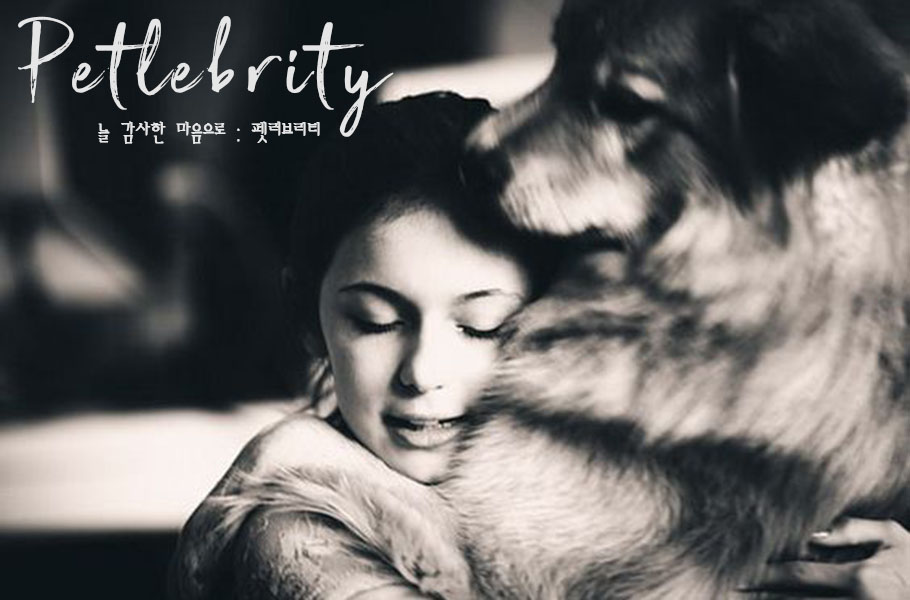 50-piece green dog pad incense burner dog pouch