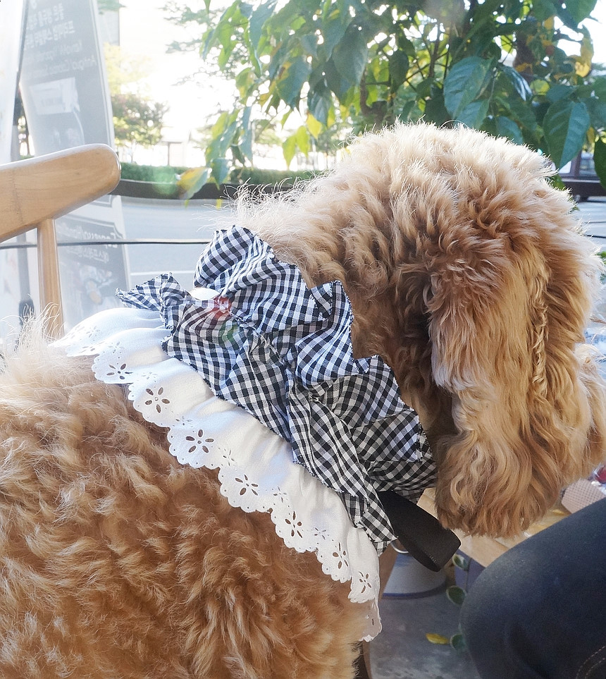 NEW DOG FASHION Check Cape Puppy Scarf Necklace Ne