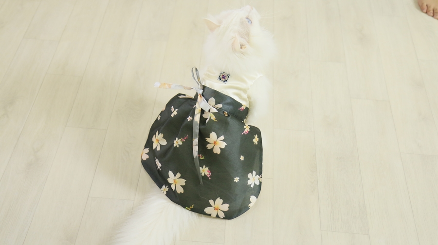 NEW DOG FASHION By Yuliya Handmade Cat Hanbok, Pup
