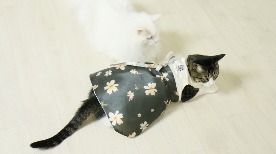 NEW DOG FASHION By Yuliya Handmade Cat Hanbok, Pup