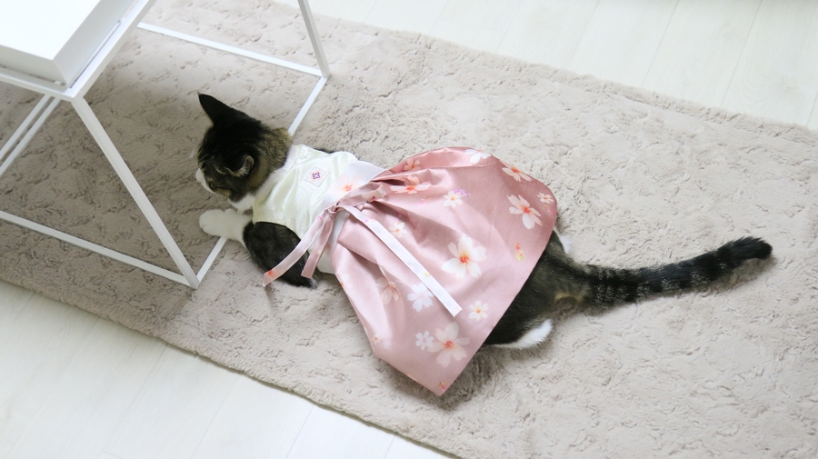 NEW DOG FASHION By Yuliya Handmade Cat Hanbok, Pup