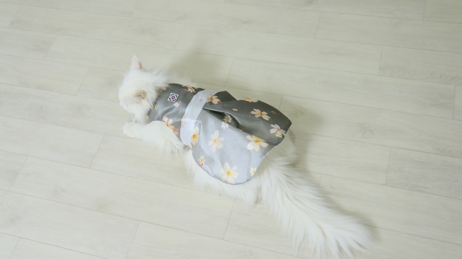 NEW DOG FASHION By Yuliya Handmade Cat Hanbok, Pup
