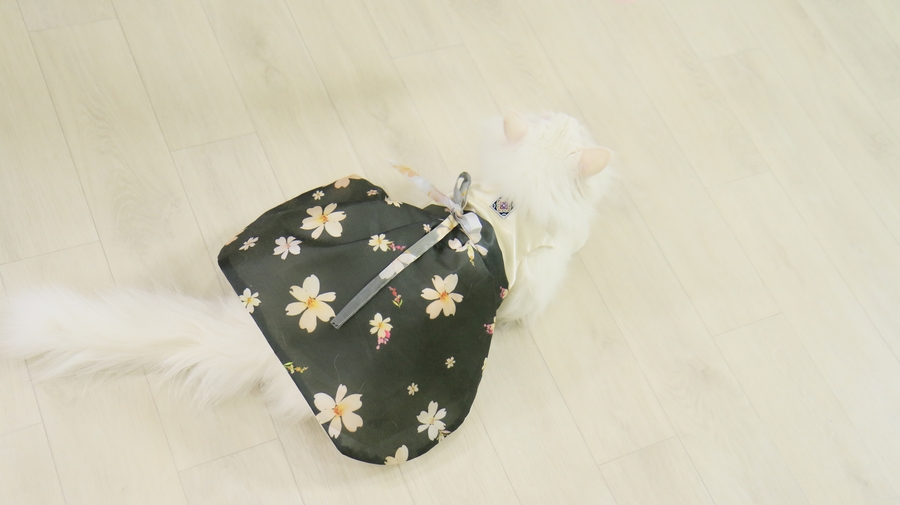 NEW DOG FASHION By Yuliya Handmade Cat Hanbok, Pup