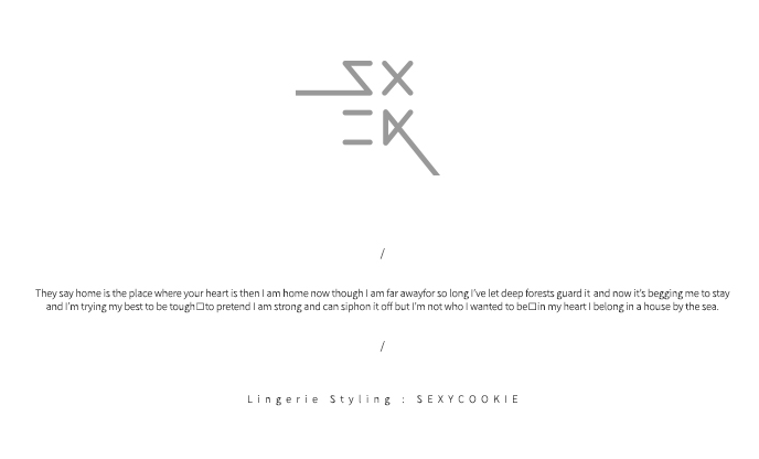 NEW SEXY LINGERIE Sexy Cookie Secret Wish Brosets 