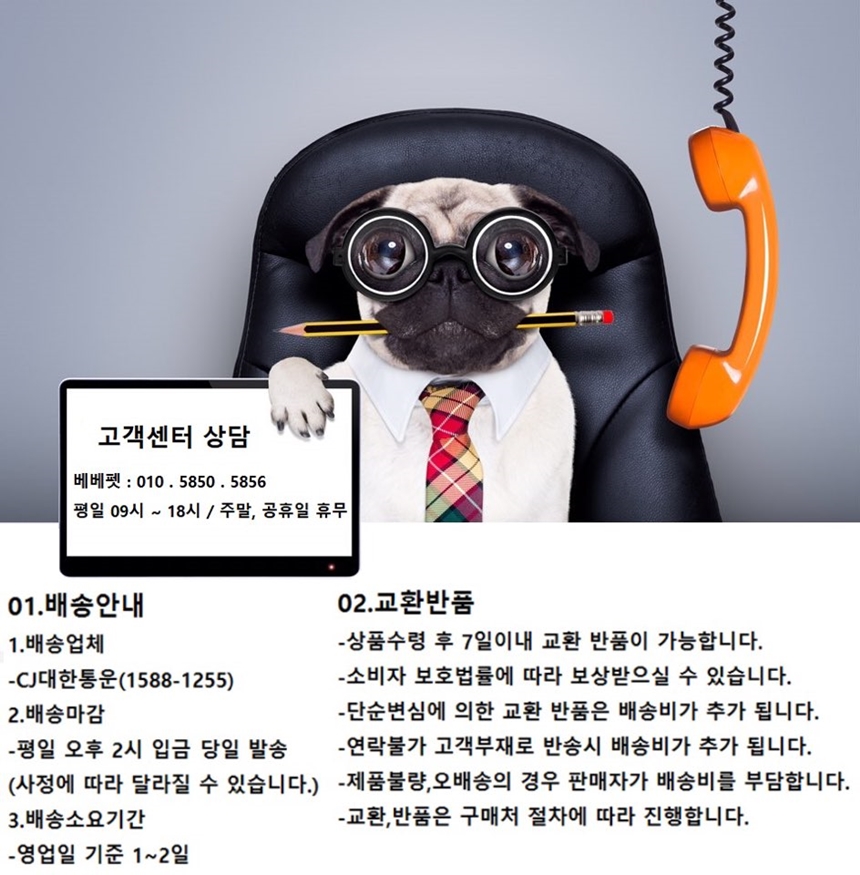 NEW DOG FASHION Dog Clothing Dog Clothing Dachshun