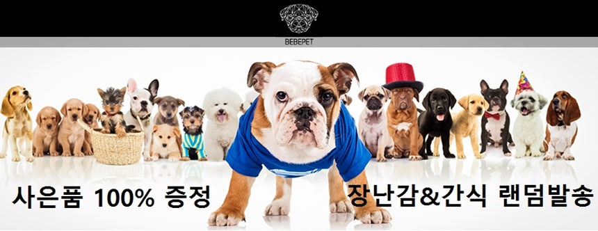 NEW DOG FASHION Dog Clothing Dog Clothing Dachshun