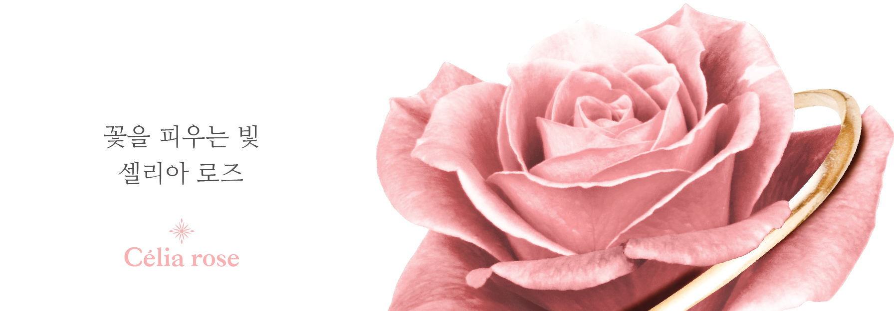 14k Bold One-touch Earrings Women in their 20s Sim