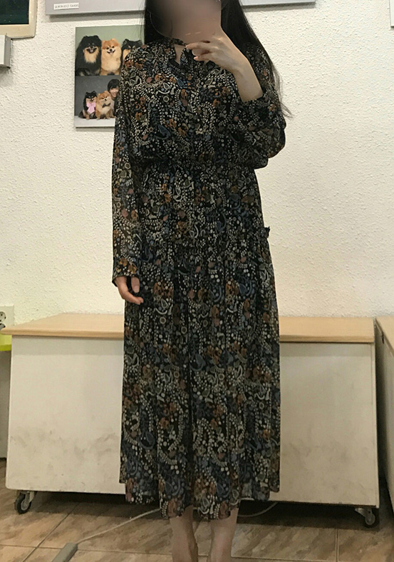 New Women Dress Flower Chiffon Long Dress