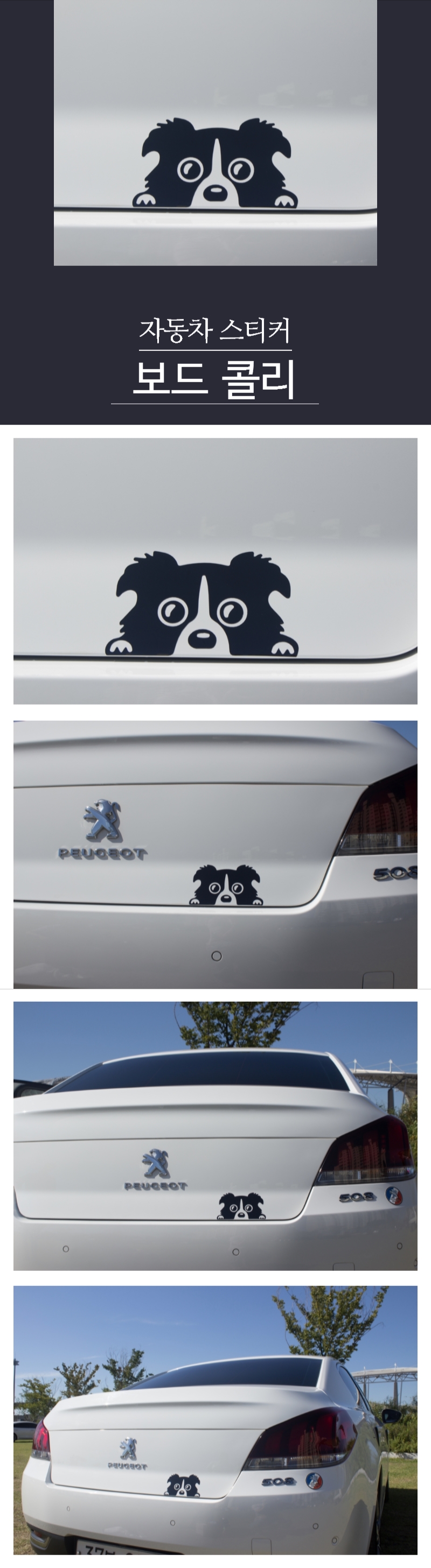 Car decal sticker board collie puppy cute point ca