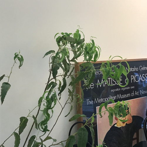 Dot blouse red. Navy polka dots chiffon shirt woma