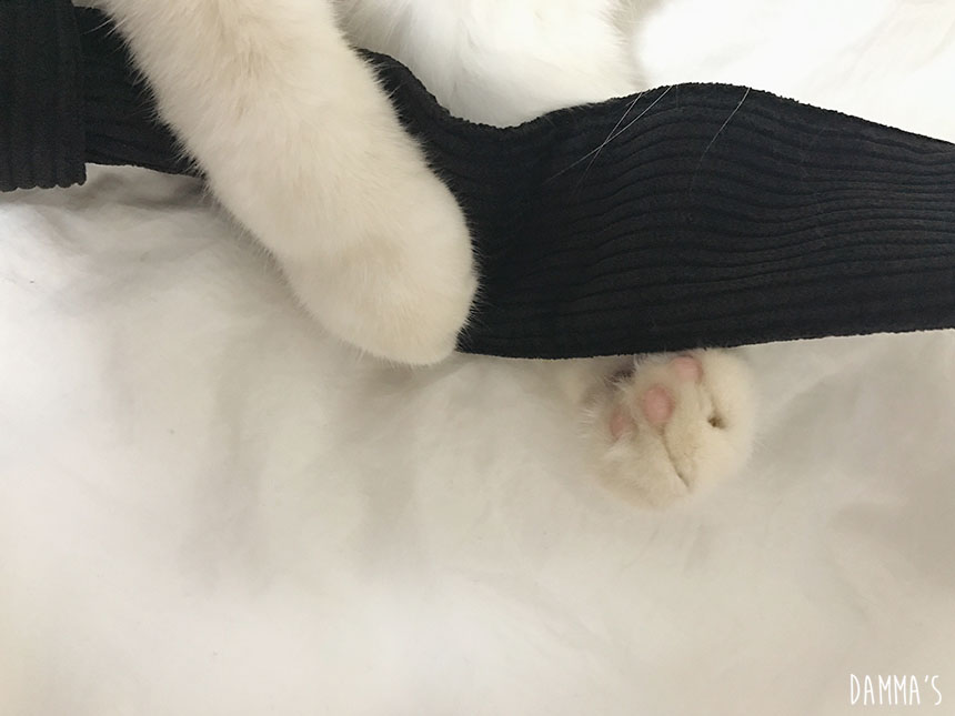 Corduroy corduroy eco bag 5color