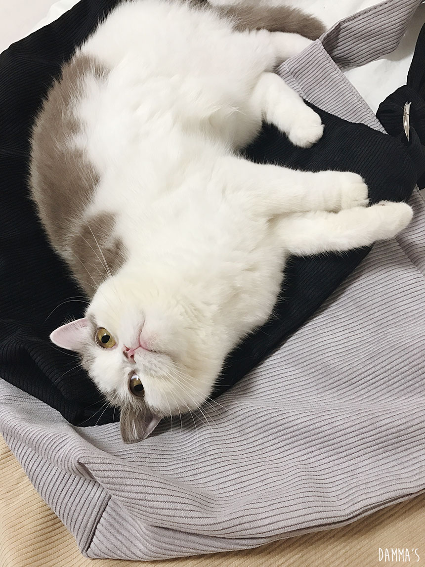 Corduroy corduroy eco bag 5color