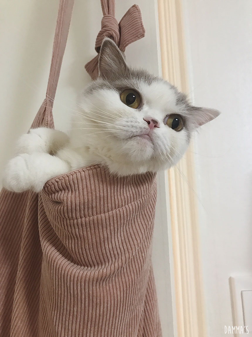 Corduroy corduroy eco bag 5color