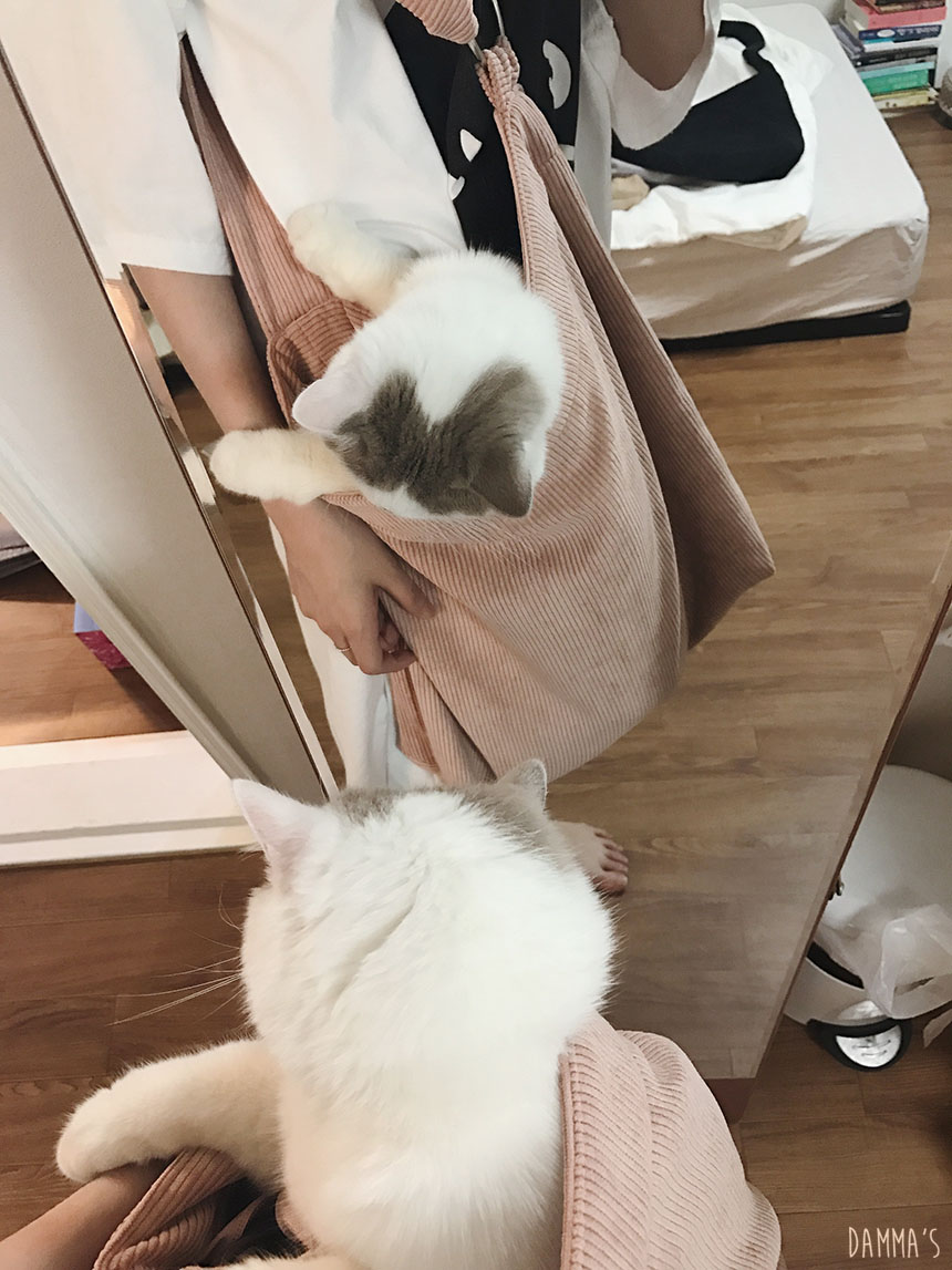 Corduroy corduroy eco bag 5color