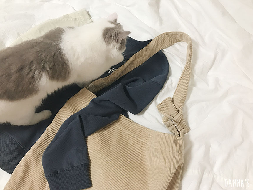 Corduroy corduroy eco bag 5color