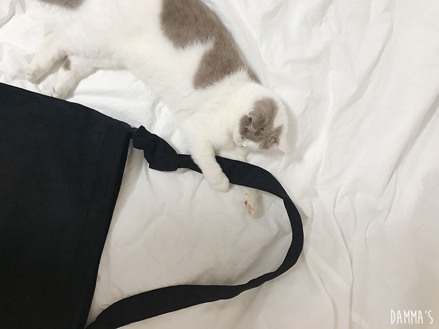 Corduroy corduroy eco bag 5color