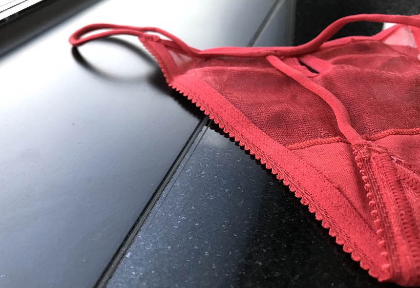 Women Underwear Sexy see-through pearl mesh bendin