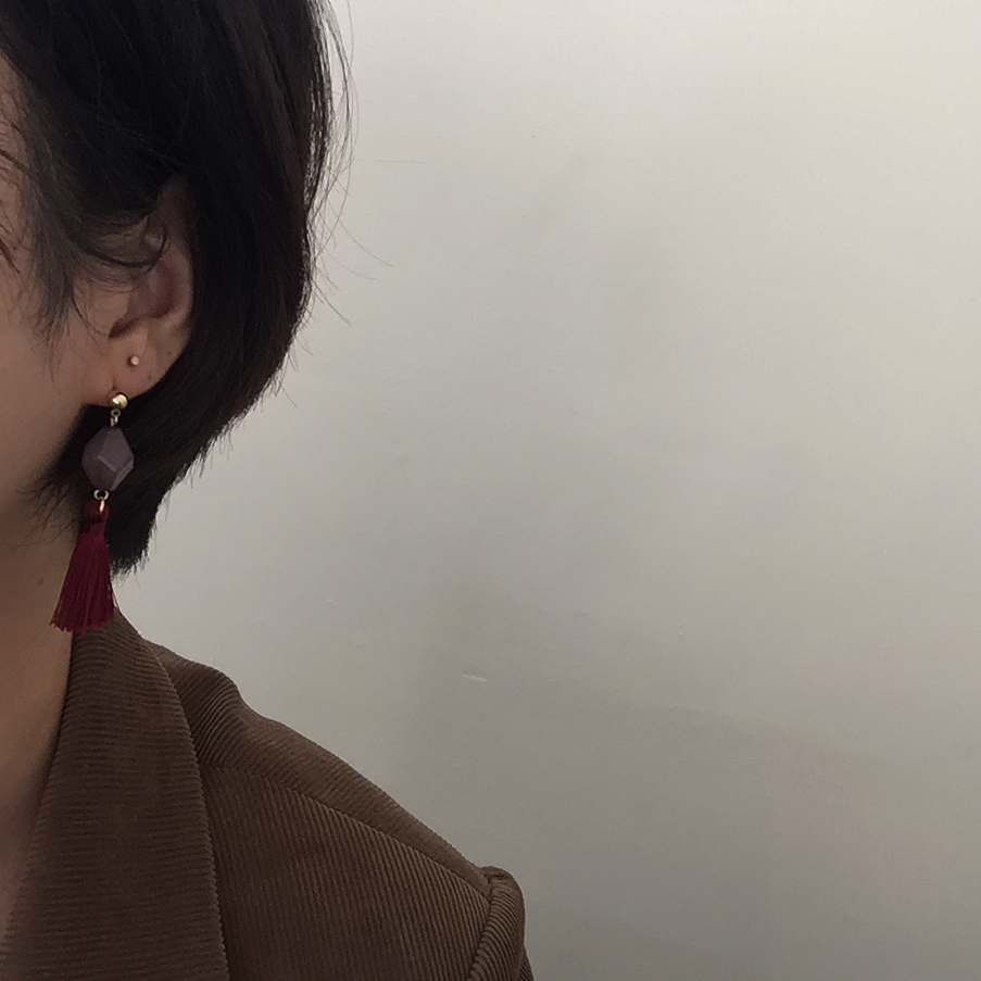 Tasswood earrings 5 ​​species 8900 won Tassle autu