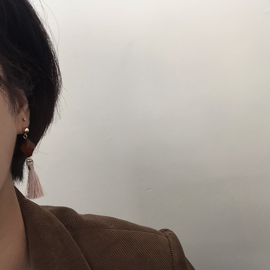 Tasswood earrings 5 ​​species 8900 won Tassle autu